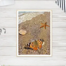 Romantic Wall Art Prints Sea Butterfly Beach Theme Wall Art for Home Decorations Wall Décor