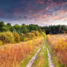 First Signs of Autumn - Photographic Print Greetings Card