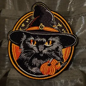 Spooky Black Cat in witches & Pumpkin