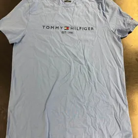 Tommy Hilfiger Men's Tshirt Blue Large