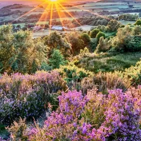 North Yorkshie Moors at Sunset - Photographic Print Greetings Card