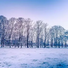 Winter Scene Lincolnshire Wolds - Photographic Print Greetings Card