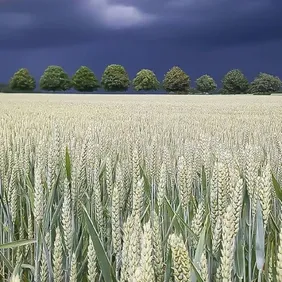 Calm Before a Storm Lincolnshire Wolds - Photographic Print Greetings Card