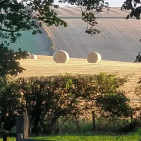 Harvest Time Lincolnshire Wolds - Photographic Print Greetings Card