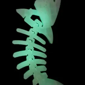 Unleash the Ocean's Guardian - Shark Keychain!