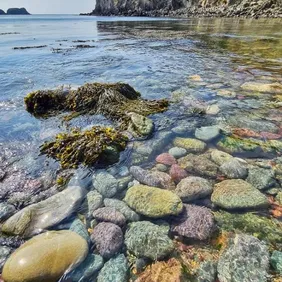 Porthlysgi Beach Pembrokeshire Wales - Photographic Print Greetings Card