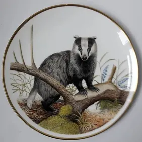 Wedgwood 'BADGER' PLATE, Retro, vintage, shabby chic