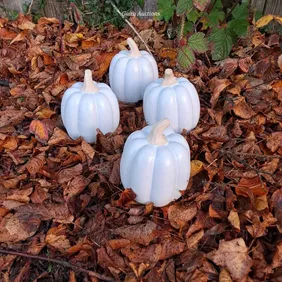 Set of 4 x Decorative Ceramic Pumpkins