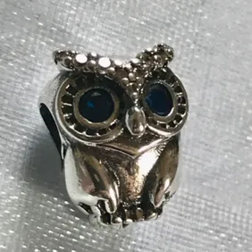 Genuine 925 silver wise owl charm comes in a cute velvet pouch for Pandora bracelet