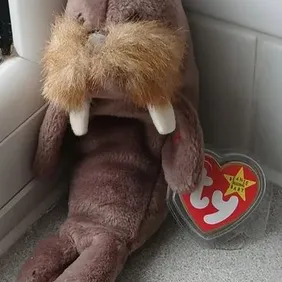 Jolly the Walrus, TY Beanie Baby, 1996