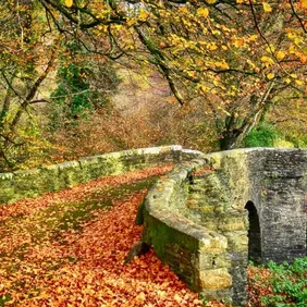 River Fowey Cornwall in Autumn - Photographic Print Greetings Card