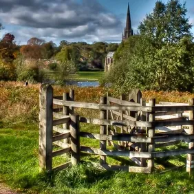 Clumber Park Nottinghamshire - Photographic Print Greetings Card