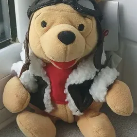 Pilot Pooh 8", Plush/Beanie, Tagged, Disney