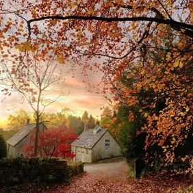 Autumn in Derbyshire - Photohgraphic Print Greetings Card