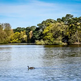 Hartsholme Park Lake Lincoln - Photographic Print Greetings Card