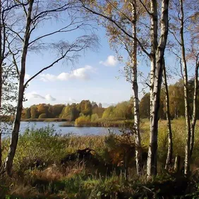 Clumber Park Lake Nottinghamshire - Photographic Print Greetings Card