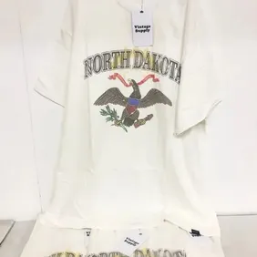 Vintage Supply north dakota collegiate t-shirt in white