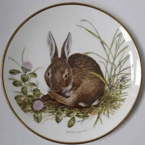 Wedgwood 'RABBIT' PLATE, Retro, vintage, shabby chic