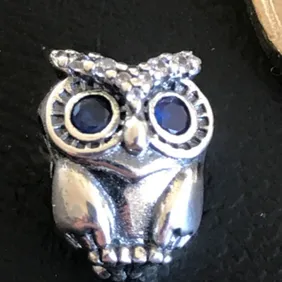 Stunning 925 Silver Wise Owl Charm comes in a cute velvet pouch for Pandora bracelet