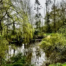 Hartsholme Park Lake Lincoln - Photographic Print Greetings Card