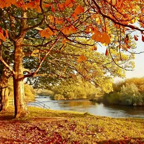 Autumn by the River Trent Nottingham - Photographic Print Greetings Card