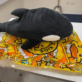 4 G.Duck Kids Whale Plushies 