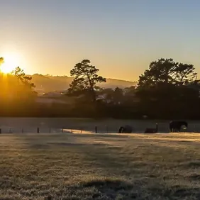 Frosty Morning Lincolnshire Wolds - Photographic Print Greetings Card