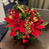 lorena.stan241@gmail.com